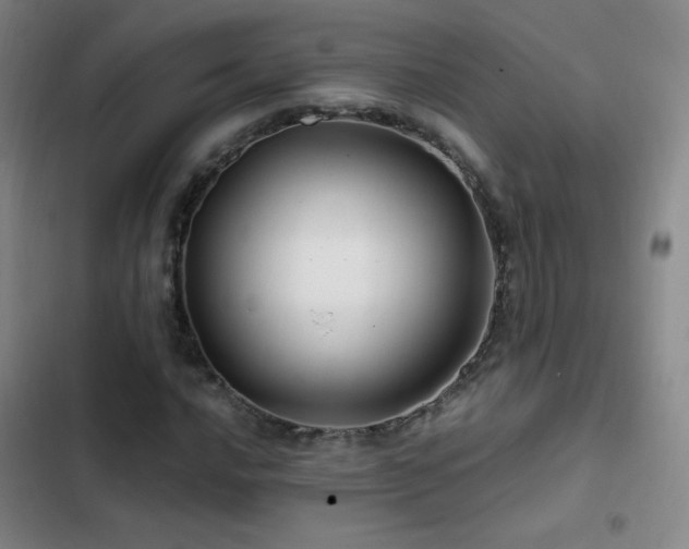 X0000103311016200808291424