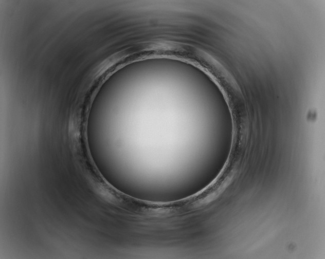 X0000103311017200808291424