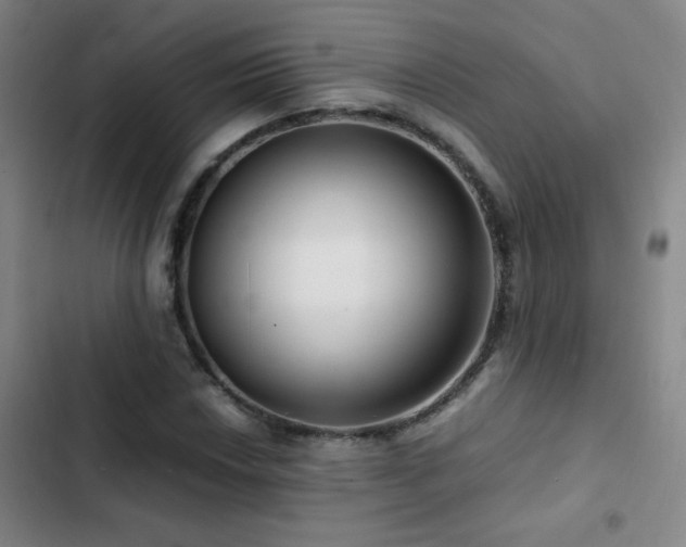 X0000103311018200808291424