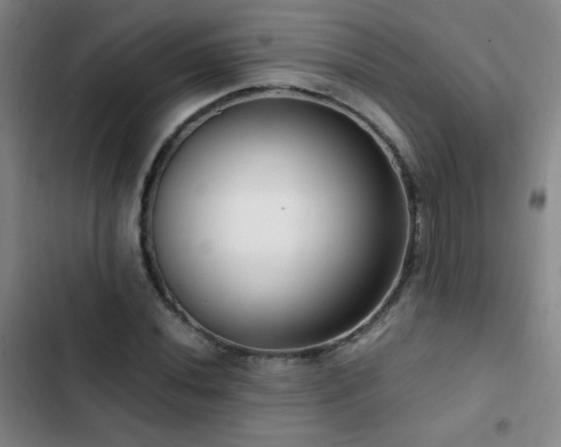 X0000103311020200808291424