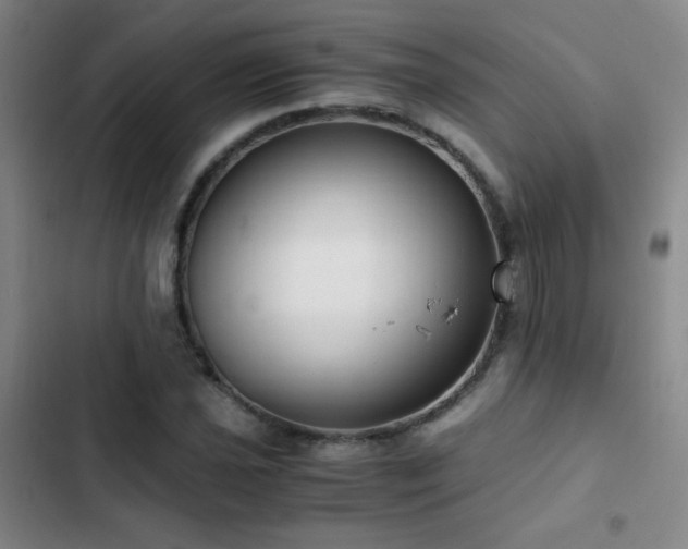 X0000103311021200808291424