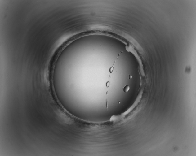 X0000103311022200808291424