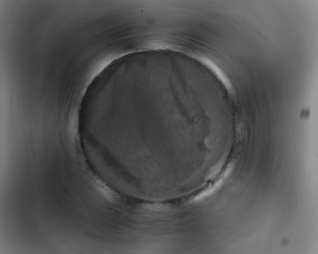 X0000103311023200808291424
