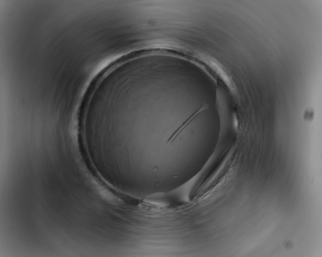 X0000103311024200808291424