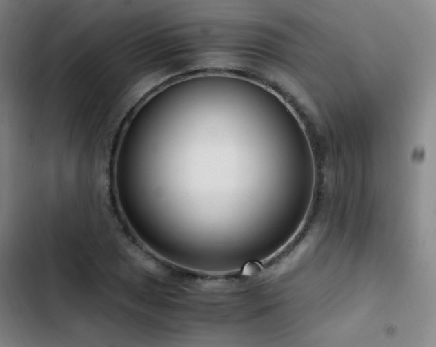 X0000103311025200808291424