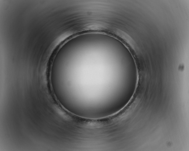 X0000103311026200808291424