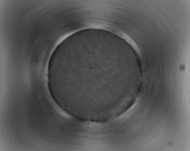 X0000103311028200808291424
