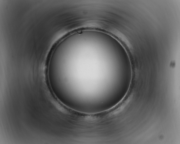 X0000103311029200808291424