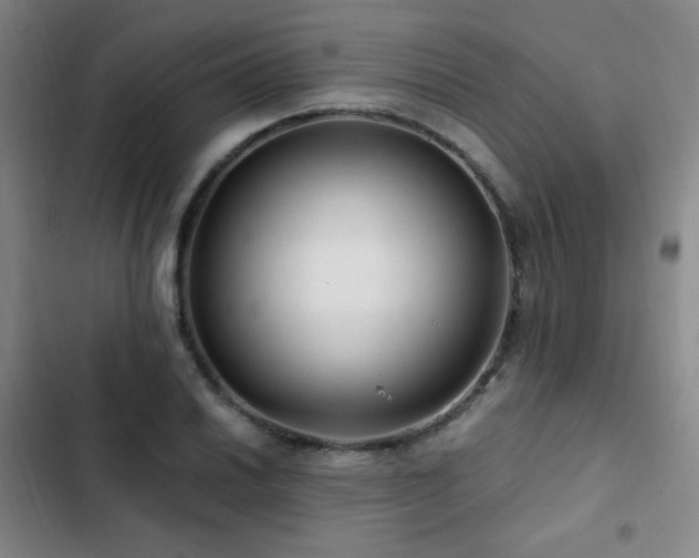 X0000103311030200808291424