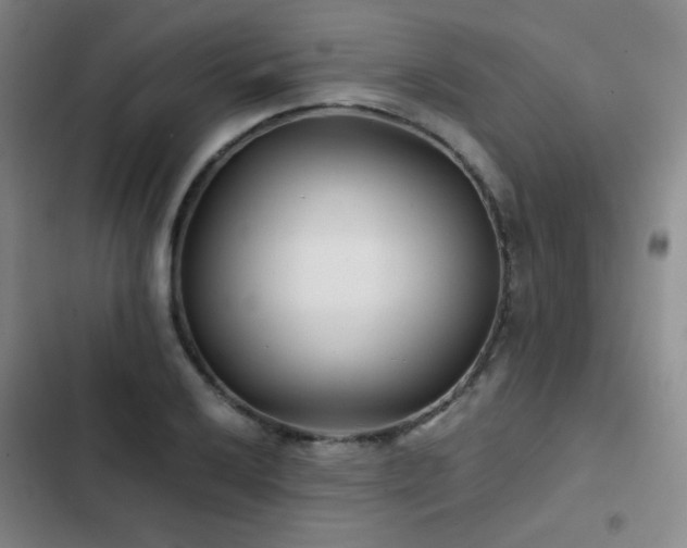 X0000103311032200808291424