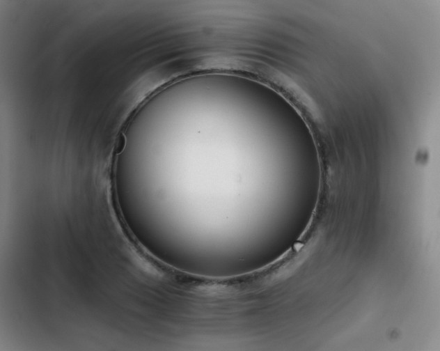 X0000103311033200808291424