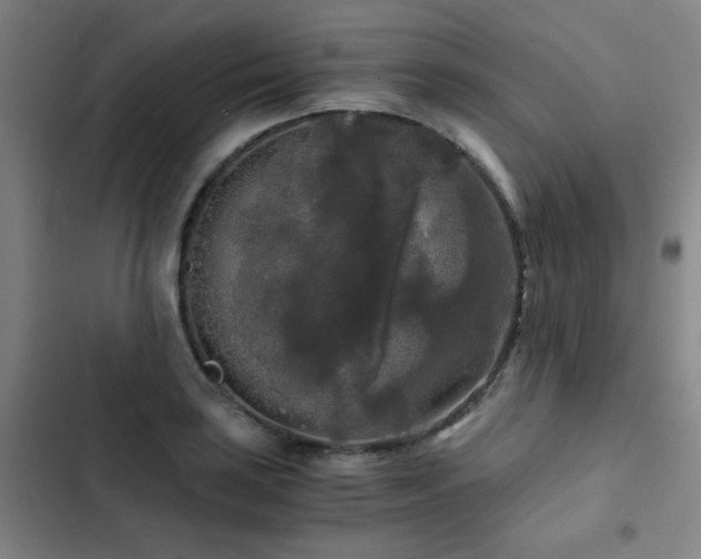 X0000103311035200808291424