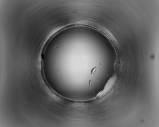 X0000103311036200808291424