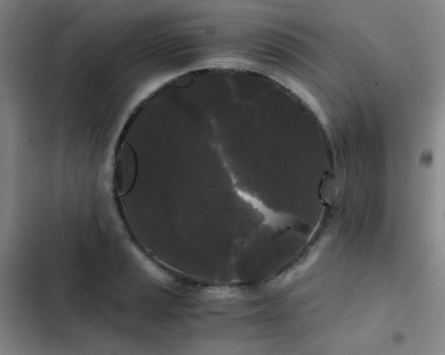 X0000103311037200808291424