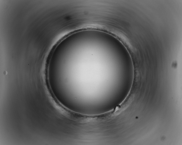 X0000103311038200808291424