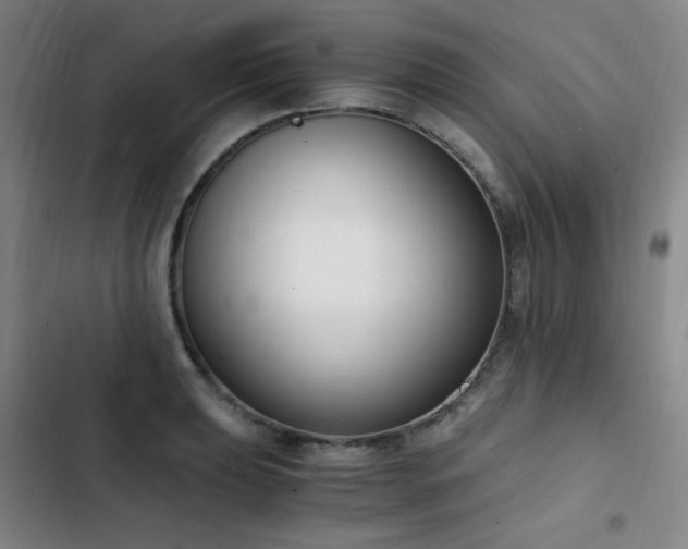 X0000103311039200808291424