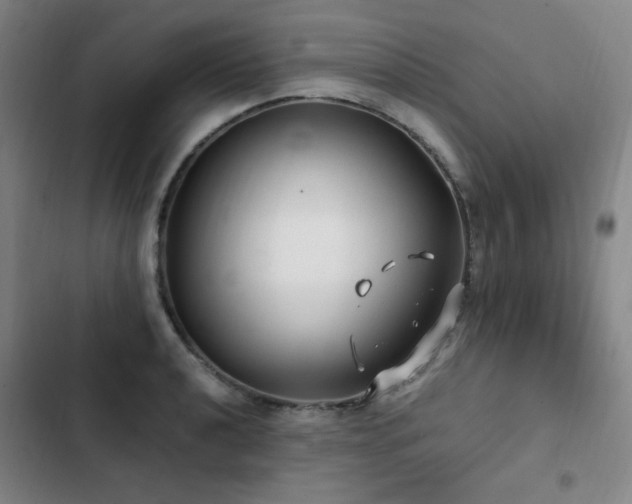 X0000103311040200808291424