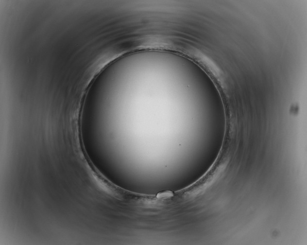 X0000103311041200808291424