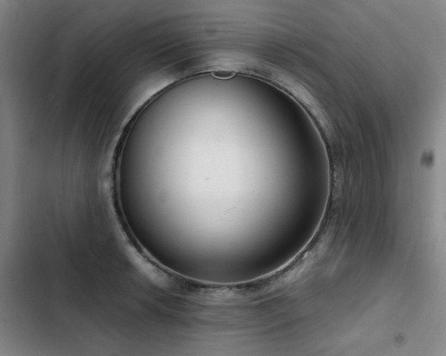 X0000103311042200808291424