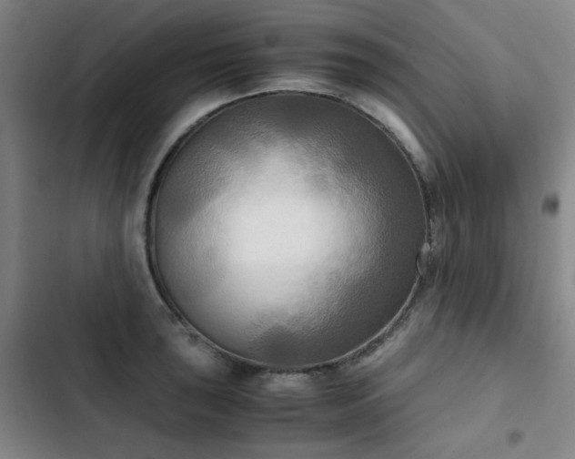 X0000103311043200808291424