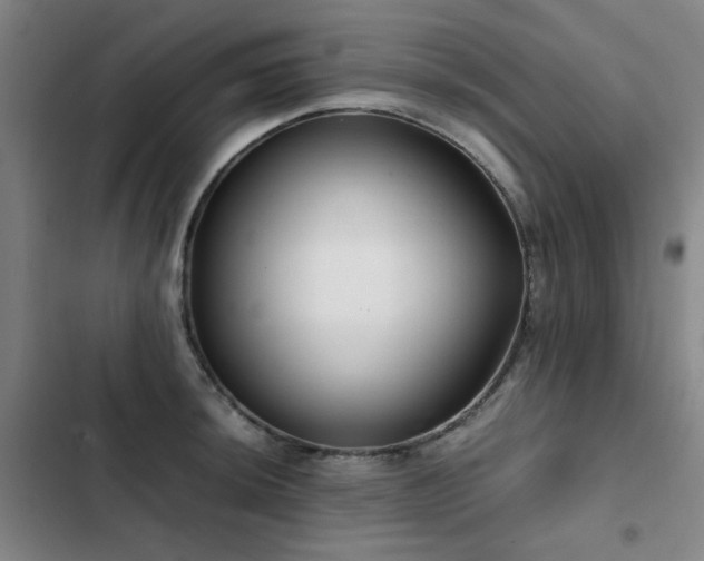 X0000103311044200808291424