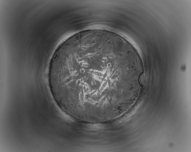 X0000103311045200808291424