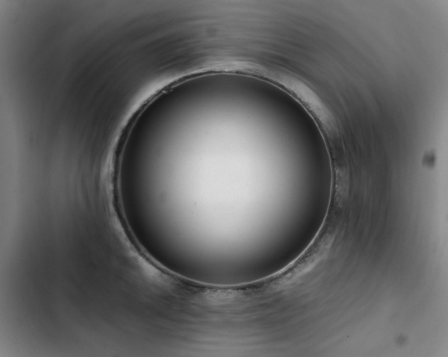 X0000103311046200808291424