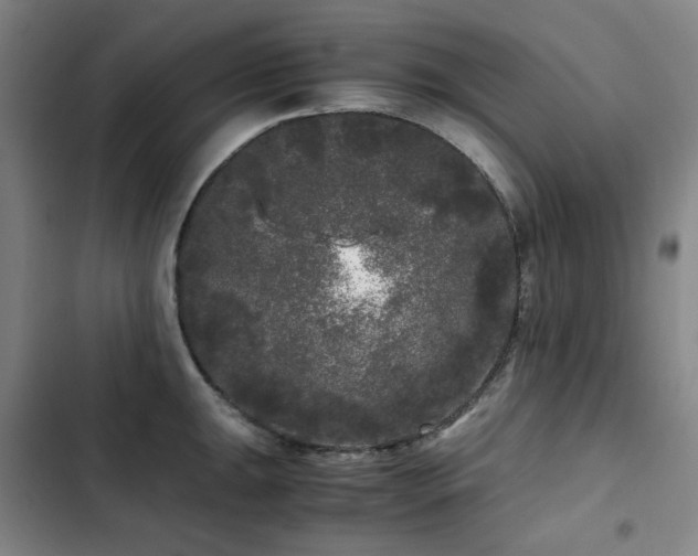 X0000103311047200808291424