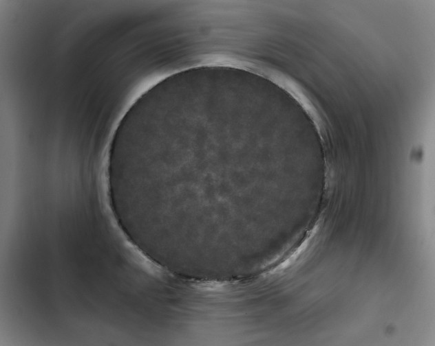 X0000103311048200808291424