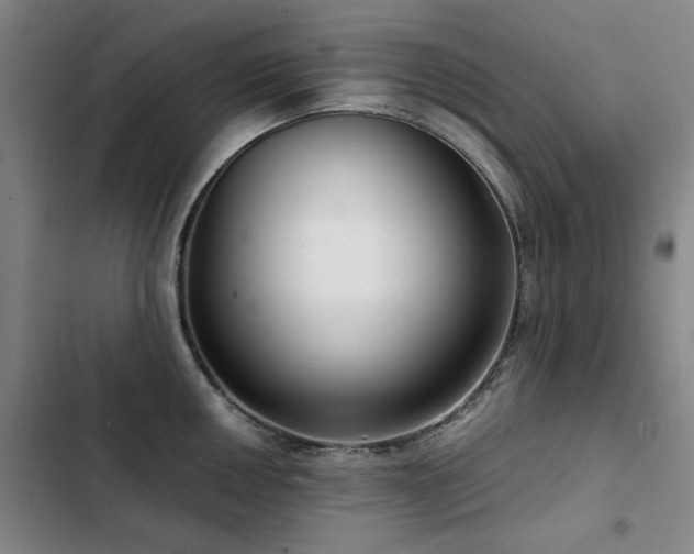 X0000103311050200808291424