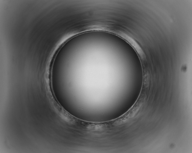 X0000103311051200808291424