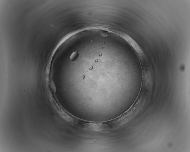 X0000103311052200808291424