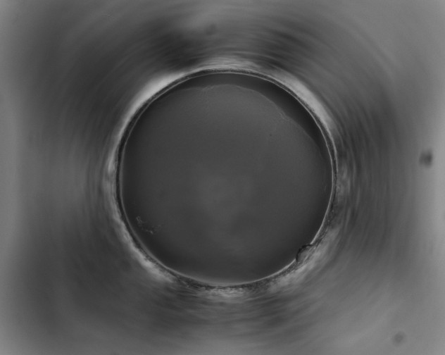 X0000103311053200808291424