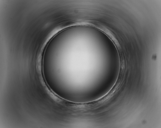 X0000103311054200808291424