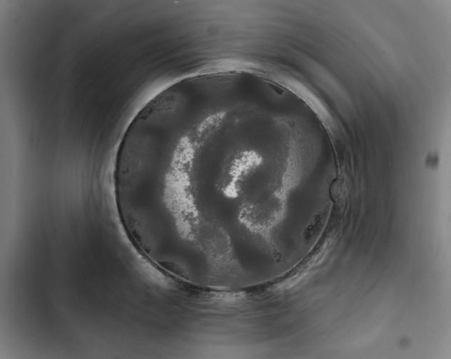 X0000103311055200808291424