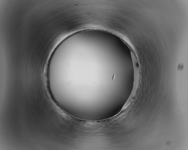 X0000103311056200808291424