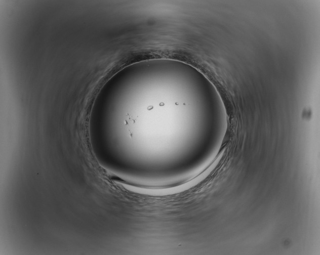 X0000103311057200808291423