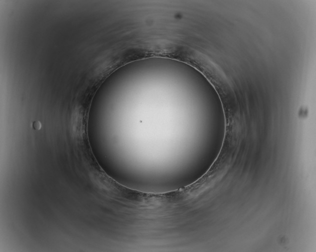 X0000103311058200808291423