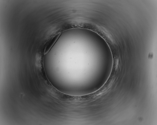 X0000103311060200808291423