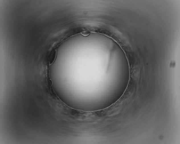 X0000103311061200808291423