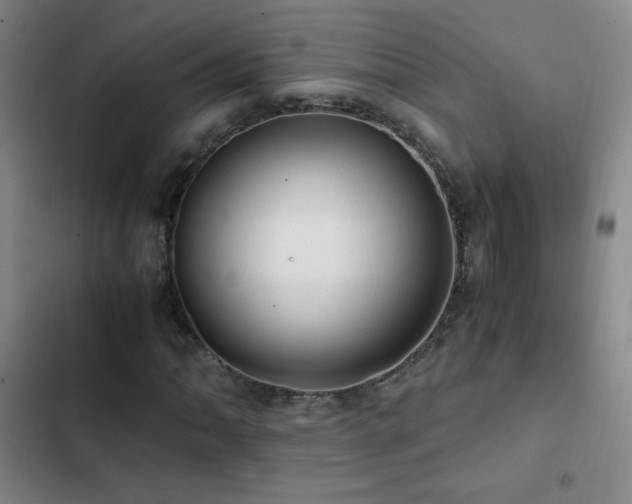 X0000103311062200808291423