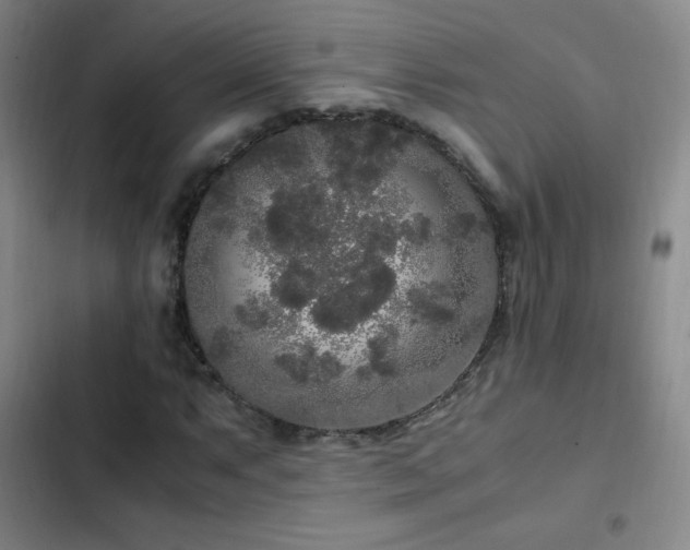 X0000103311063200808291423