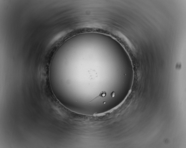 X0000103311064200808291423