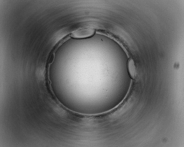 X0000103311065200808291423