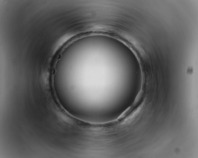 X0000103311066200808291423