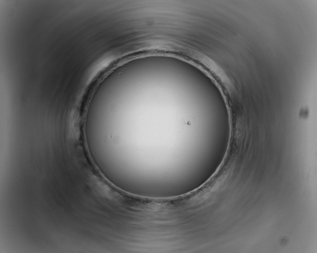 X0000103311067200808291423