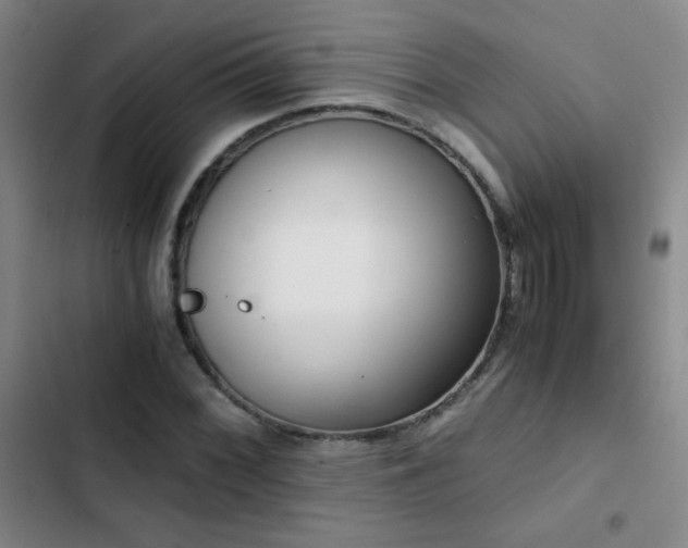 X0000103311068200808291423