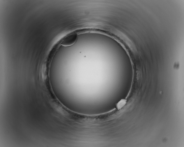 X0000103311069200808291423