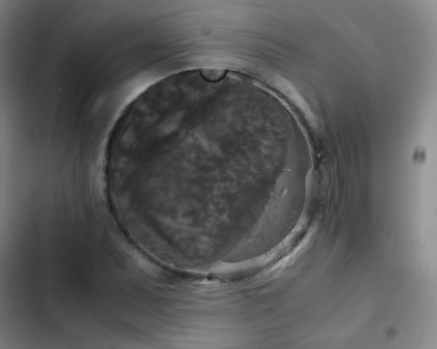 X0000103311071200808291423