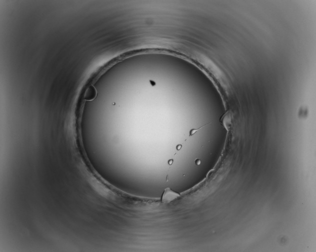 X0000103311072200808291423